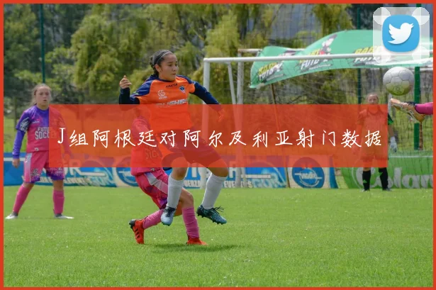 J组阿根廷对阿尔及利亚射门数据