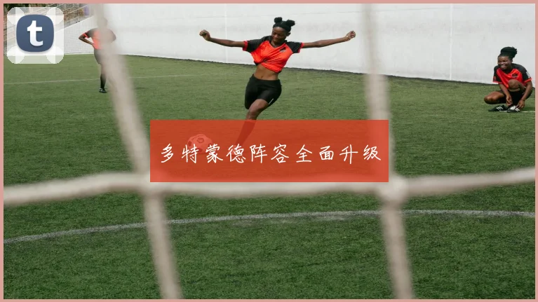 多特蒙德阵容全面升级