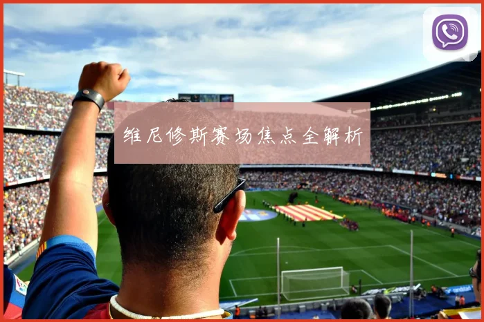 维尼修斯赛场焦点全解析