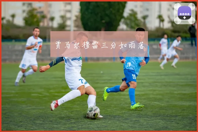 贾马尔穆雷三分如雨落