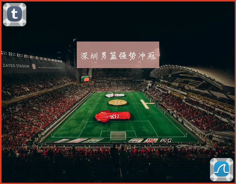 深圳男篮强势冲冠
