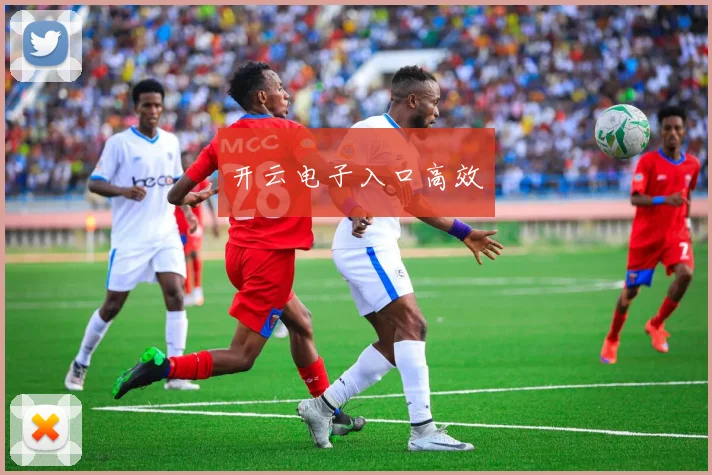 开云电子入口高效