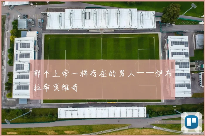 那个上帝一样存在的男人——伊布拉希莫维奇