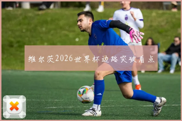 维尔茨2026世界杯边路突破看点