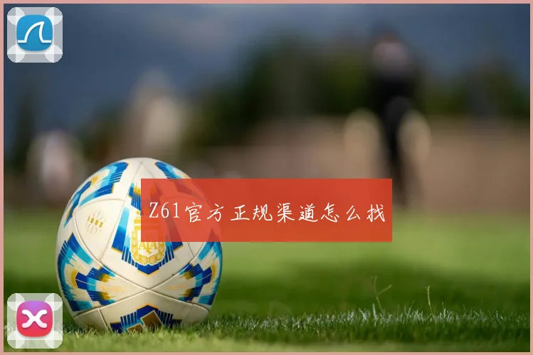 Z61官方正规渠道怎么找