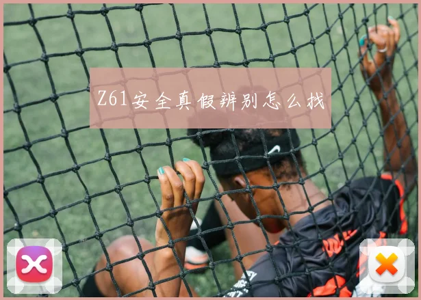 Z61安全真假辨别怎么找
