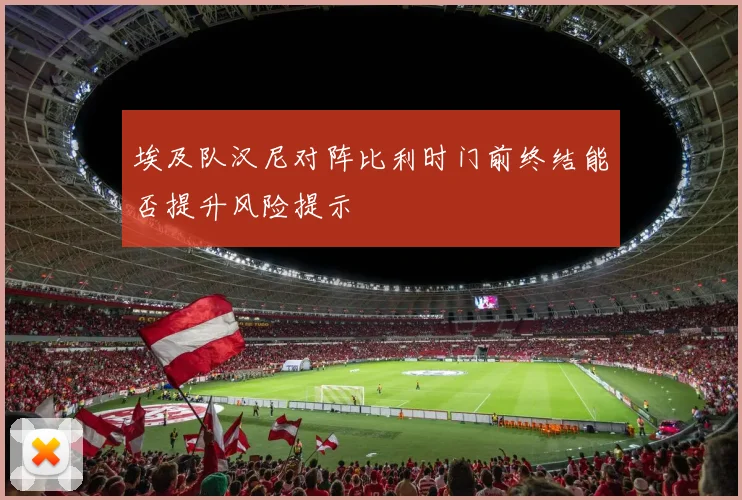埃及队汉尼对阵比利时门前终结能否提升风险提示